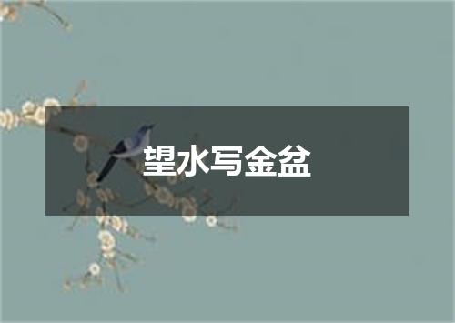 望水写金盆