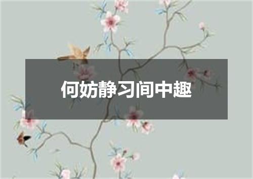 何妨静习间中趣