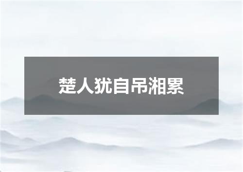楚人犹自吊湘累