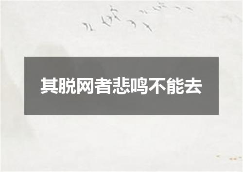 其脱网者悲鸣不能去
