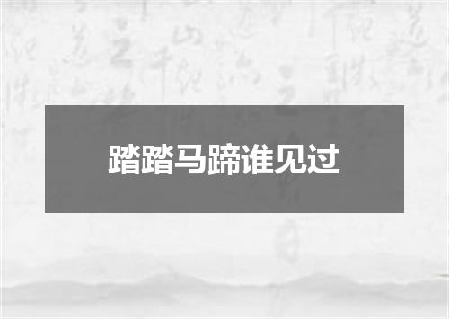 踏踏马蹄谁见过