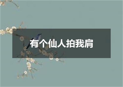 有个仙人拍我肩