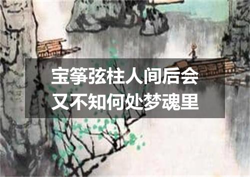 宝筝弦柱人间后会又不知何处梦魂里