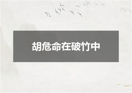 胡危命在破竹中