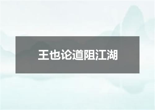 王也论道阻江湖