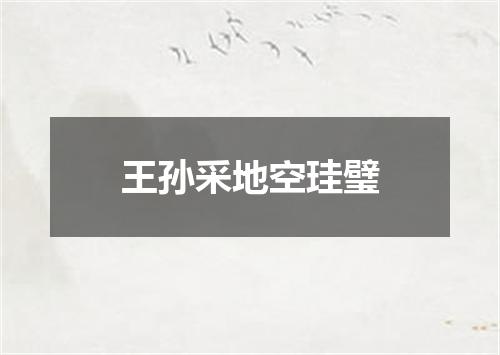 王孙采地空珪璧