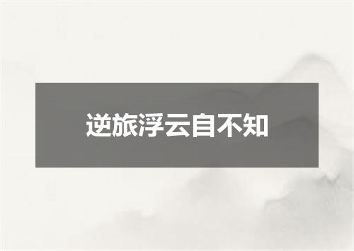 逆旅浮云自不知