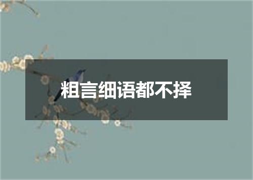 粗言细语都不择