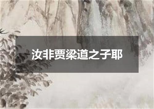 汝非贾梁道之子耶