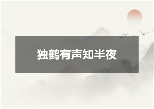 独鹤有声知半夜