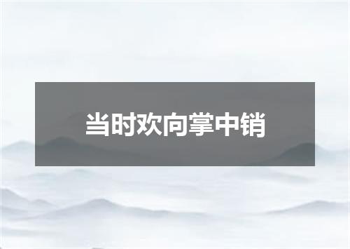 当时欢向掌中销