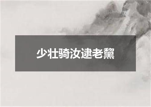 少壮骑汝逮老黧