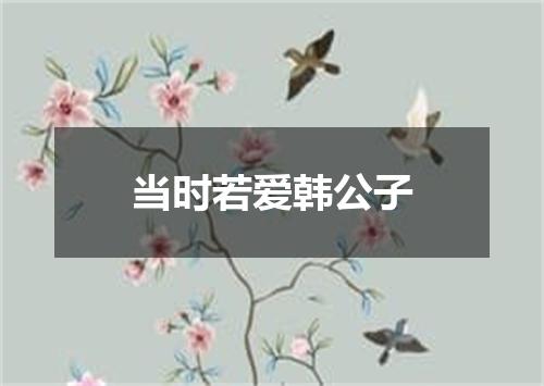 当时若爱韩公子