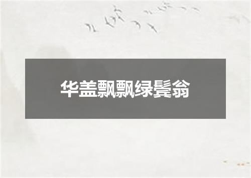 华盖飘飘绿鬓翁