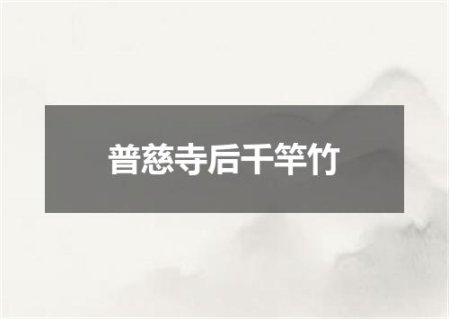 普慈寺后千竿竹