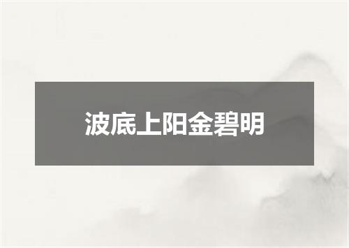 波底上阳金碧明