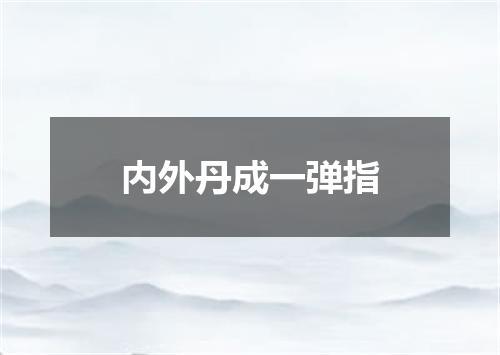 内外丹成一弹指