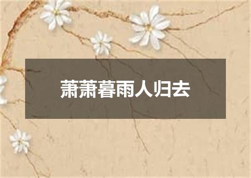 萧萧暮雨人归去