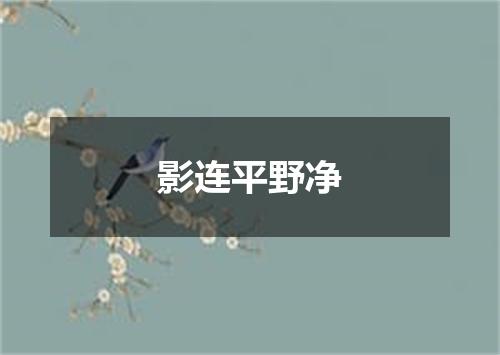 影连平野净
