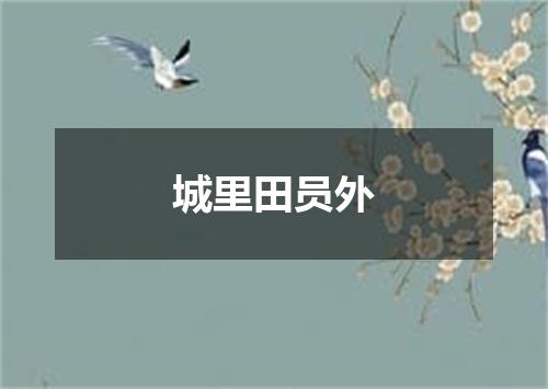 城里田员外