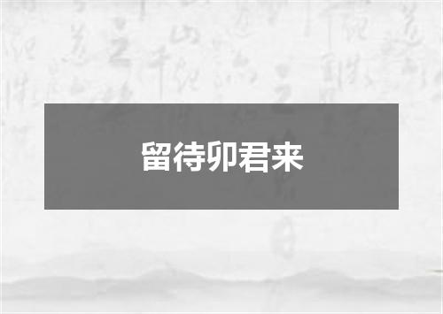 留待卯君来
