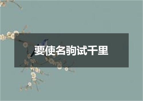 要使名驹试千里