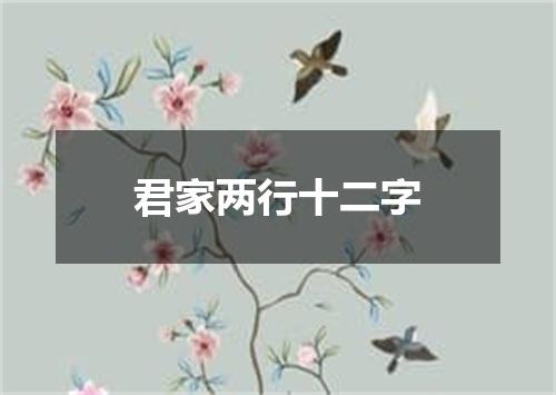 君家两行十二字