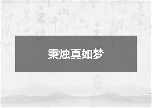 秉烛真如梦