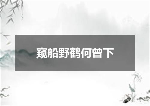窥船野鹤何曾下
