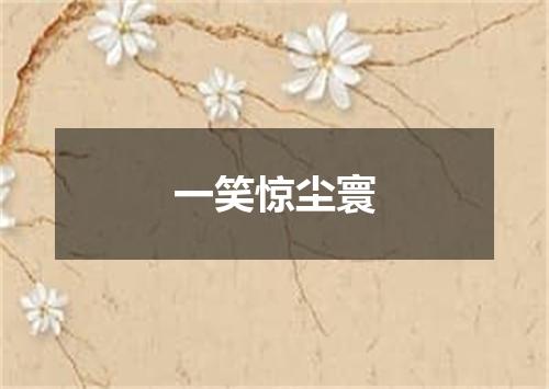 一笑惊尘寰