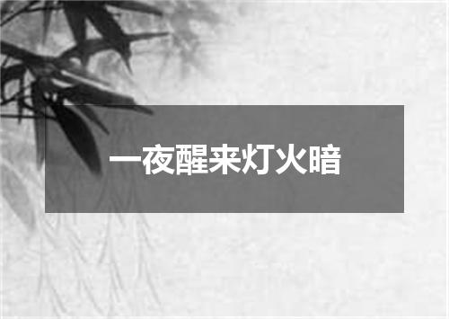 一夜醒来灯火暗