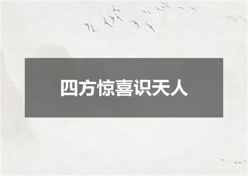四方惊喜识天人