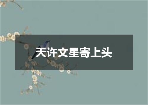 天许文星寄上头