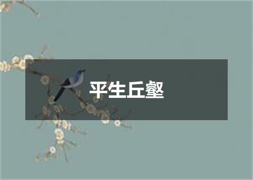 平生丘壑