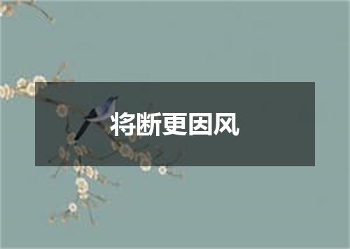 将断更因风