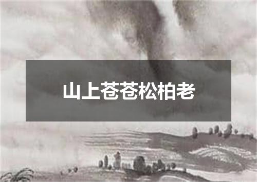 山上苍苍松柏老