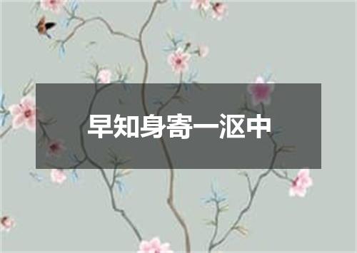 早知身寄一沤中
