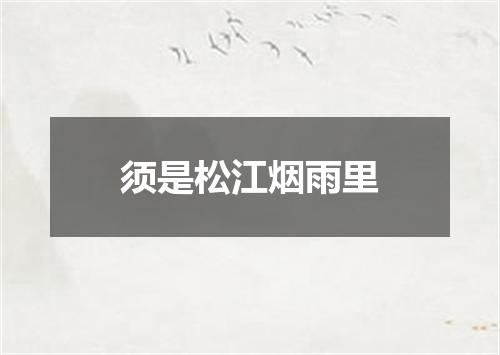 须是松江烟雨里
