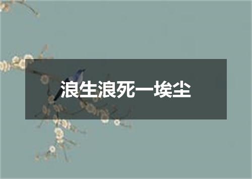 浪生浪死一埃尘