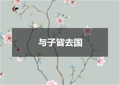 与子皆去国