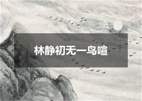 林静初无一鸟喧