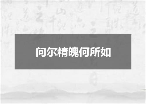 问尔精魄何所如