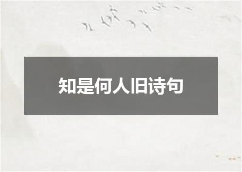 知是何人旧诗句