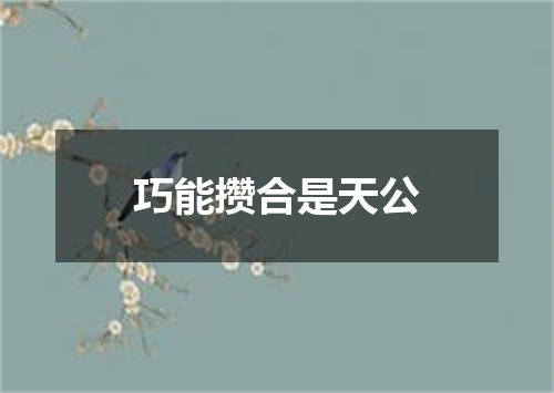 巧能攒合是天公