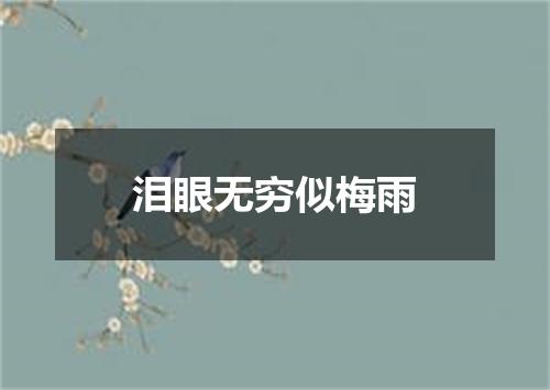 泪眼无穷似梅雨