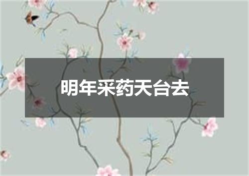 明年采药天台去