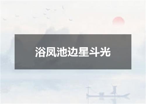 浴凤池边星斗光