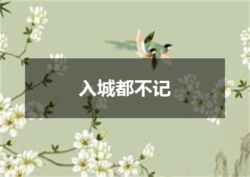 入城都不记