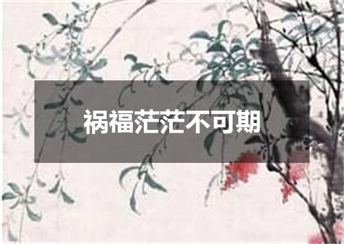祸福茫茫不可期