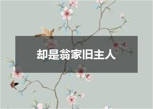却是翁家旧主人
